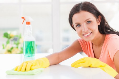 Professional cleaning of an office kitchen and shared area in SE16