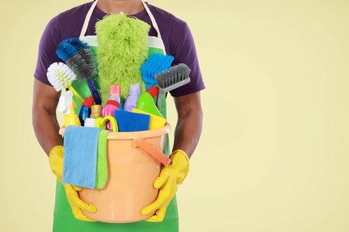 Professional upholstery cleaning service for sofas in SE16 homes