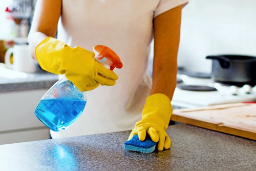 Professional turnover cleaning in a SE16 rental flat