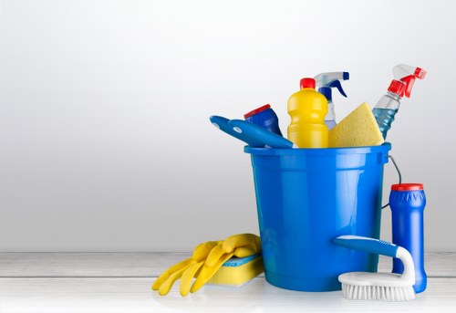 Professional carpet cleaning for a SE16 living room