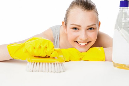 Professional house cleaning service for a SE16 apartment living room