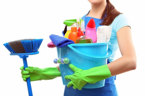 Kitchen and bathroom cleaning service in a local SE16 home