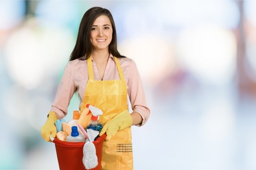 Regular house cleaning in a Bermondsey or Canada Water property