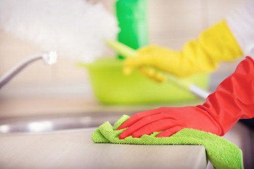 SE16 commercial and residential gutter cleaning with local access planning