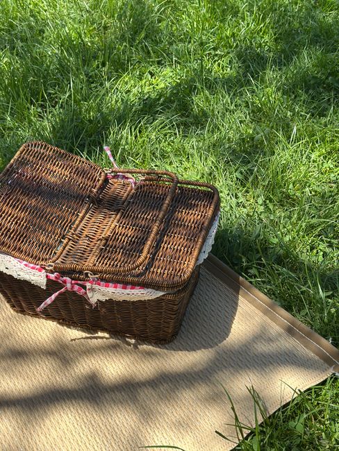 A woven wicker picnic basket with a lid is placed on a beige outdoor mat on the grass in a park setting. The basket has a decorative pink and white ribbon tied around the handle and appears to be closed. The surrounding area features lush green grass and some sunlight creates shadows on the mat. This scene reflects a typical outdoor picnic setup in an environment like Southwark Park, indicating the need for cleaning and maintenance of outdoor recreational items, as promoted by Cleaners SE16, specialists in domestic and commercial cleaning services.