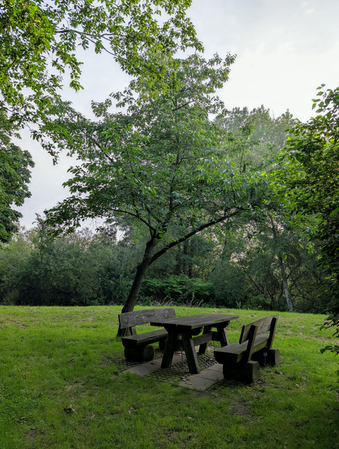 A wooden picnic table with attached benches, situated on a grassy area beneath a leafy tree in a park setting. The table and benches are dark-stained wood, appearing clean and well-maintained. Surrounding greenery includes tall trees and bushes, with natural sunlight filtering through the foliage, creating a bright and tranquil environment. The scene reflects a peaceful outdoor space in Southwark Park, ideal for relaxing and enjoying the fresh air. This image aligns with Cleaners SE16's focus on domestic cleaning and surface sanitisation services, demonstrating an emphasis on outdoor cleanliness and maintenance.