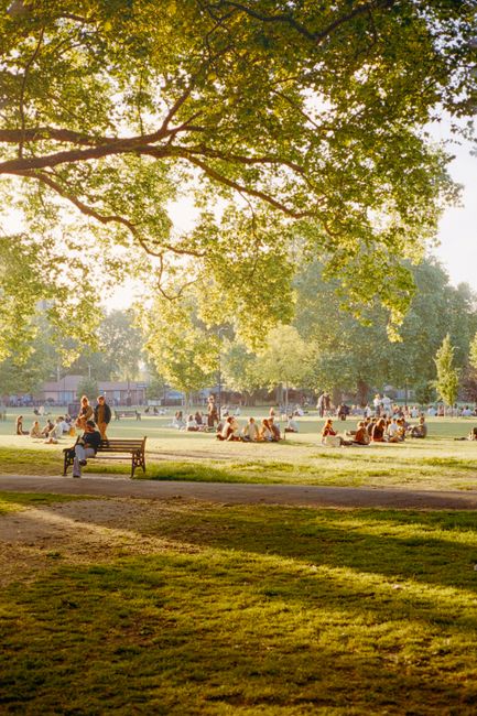 A woven wicker picnic basket with a lid is placed on a beige outdoor mat on the grass in a park setting. The basket has a decorative pink and white ribbon tied around the handle and appears to be closed. The surrounding area features lush green grass and some sunlight creates shadows on the mat. This scene reflects a typical outdoor picnic setup in an environment like Southwark Park, indicating the need for cleaning and maintenance of outdoor recreational items, as promoted by Cleaners SE16, specialists in domestic and commercial cleaning services.